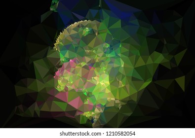 Geometric low polygonal background. Abstract multicolor mosaic backdrop. Design element for book covers, presentations layouts, title backgrounds. Vector clip art.