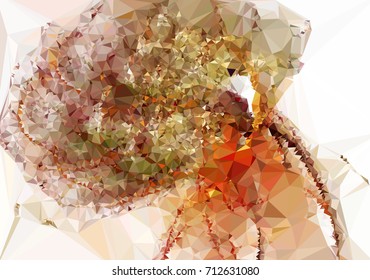 Geometric low polygonal background. Abstract mosaic backdrop. Design element for book covers, presentations layouts, title backgrounds. Vector clip art.