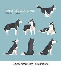 geometric lowpoly animal siberian husky dog various poses vector illustration flat design