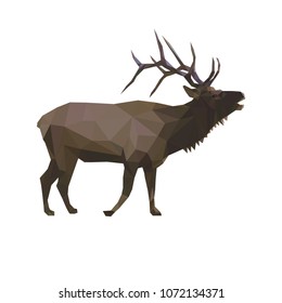 Geometric low-poly deer banner. Abstract polygonal animal. Isolated triangle deer on white background. 