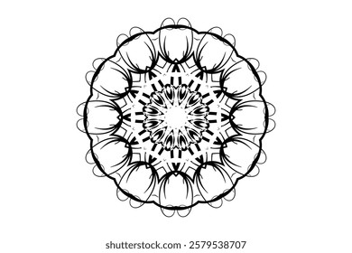 Geometric Mandala Art with Central Circle and Radiating Detailed Patterns	
