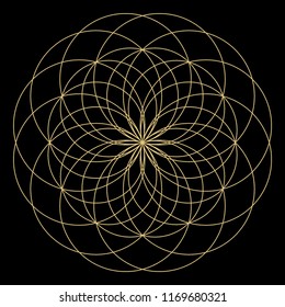 Geometric mandala. Circular ornament.