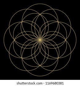 Geometric mandala. Circular ornament.