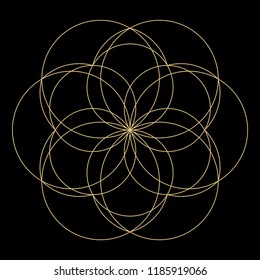 Geometric mandala. Circular ornament.
