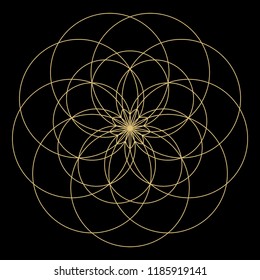 Geometric mandala. Circular ornament.