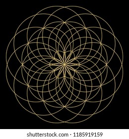 Geometric mandala. Circular ornament.