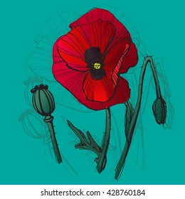 geometric modern vector background with poppy on a blue background