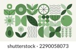 Geometric natural pattern. Abstract fruit leaf plant simple shape, minimal floral eco agriculture concept. Vector banner