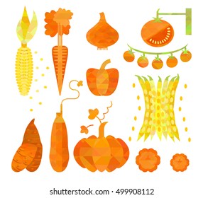 Geometric Orange Vegetables Collection. Tasty fresh food for dishes. Healthy eco product for market, grocery store. Bright modern design object food. Vector illustration.