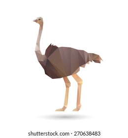 Geometric ostrich - Vector 
