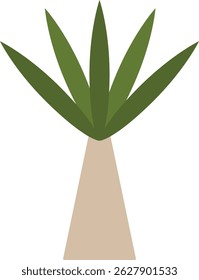 A geometric palm features sharp angles and a minimalist style.  This tropical plant boasts a conic trunk supporting radiating fronds. Cartoon vector illustration