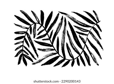 Geometric palm leaf with curved stem isolated on white background. Brush drawn Matisse style branch with wavy bold lines. Abstract geometric palm leaf in rectangle shape. Vector ink illustration.