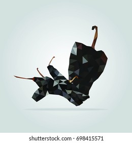Geometric pasilla pepper. Polygonal triangle ancho pepper