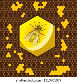 Geometric pattern with honeycomb and bee in the center. Flat background vector illustration. Ornament.