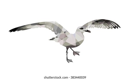 The geometric polygonal bird. Illustration: Seagull