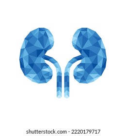 Geometric polygonal kidneys logo icon vector illustration