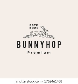 geometric rabbit bunny hop hipster vintage logo vector icon illustration