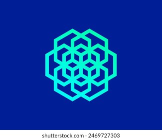 Geometric shape hexagon logo design.