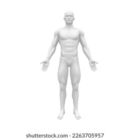 Premium Vector  Human anatomy. full lenght front view of standing man in  underwear. vector illustration of a man figure. athletic young male body.