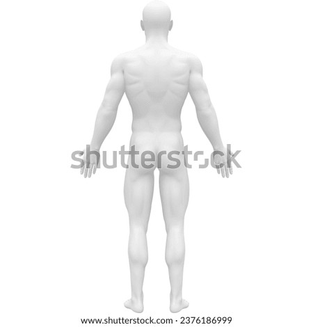 Geometric shape of the human body -model
