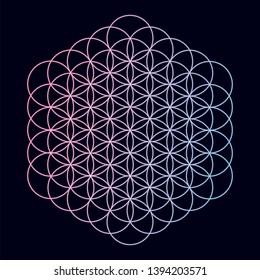 Geometric shape with vibrant gradient.

Vector illustration / flower of life / sacred geometry / ancient symbol