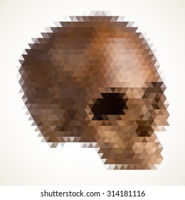 Geometric skull in triangular style isolated on white.