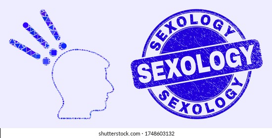 Geometric test head mosaic pictogram and Sexology seal stamp. Blue vector round scratched seal stamp with Sexology title. Abstract mosaic of test head organized of spheric, tringle,