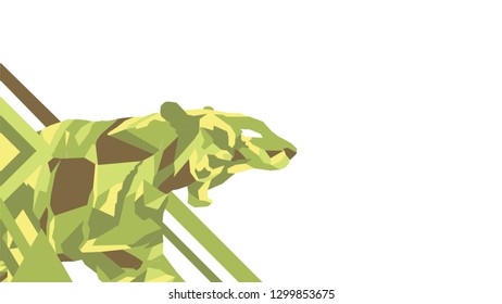 geometric tiger vol.20