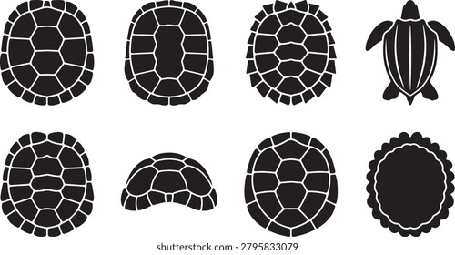 Geometric turtle shell patterns seen from an overhead view