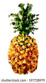 Geometrical Ananas - Tropical Fruit vector Illustration