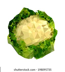 Geometrical Cauliflower vector Illustration