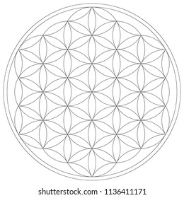 Geometrical figure. Sacred Geometry Flower of Life vector illustration