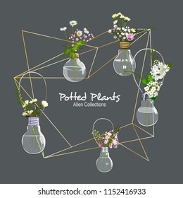 Geometrical gold frame with various bulb potted plant contain pretty flowers