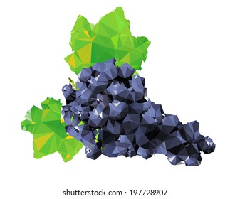Geometrical Grape - Tropical Fruit vector Illustration
