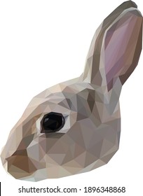 Geometrical Illustration of a bunny head