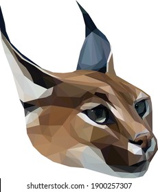 Geometrical illustration of a caracal
