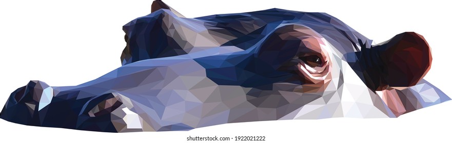 Geometrical illustration of a hippo head isolated