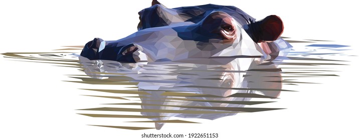 Geometrical illustration of a hippo head submerged in water