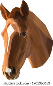 Geometrical illustration of a horse head isolated