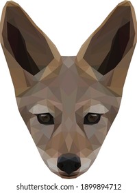 Geometrical illustration of a jackal isolated