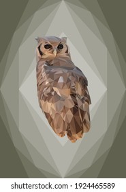 Geometrical illustration of an owl
