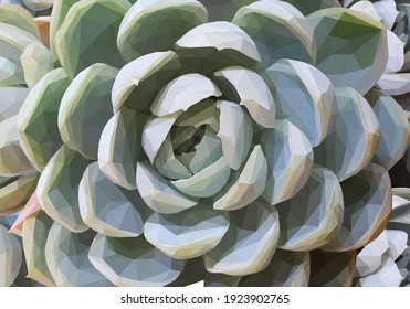 Geometrical illustration of a teal succulent background