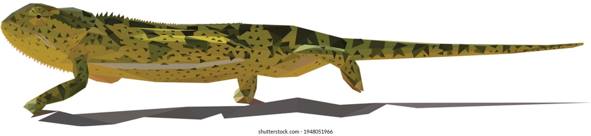 Geometrical, low poly, illustration of an African Chameleon in the desert, on the ground.