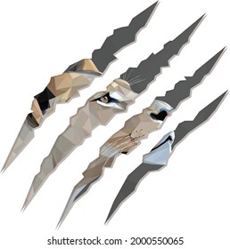 Geometrical, low poly, illustration of a lioness head from the side isolated inside of claw marks