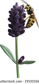 Geometrical, low poly, illustration of a yellow and black wasp on a lavender flower isolated