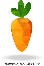 Geometrical orange carrot vector Illustration
