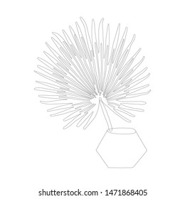 Geometrical plant pot with palmetto leaf in black outline on white background. Vector Illustration