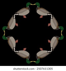 Geometrical round animal frame with ducks or mallards. Waterfowl design. Anas platyrhynchos. IOn black background. 