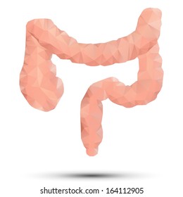 geometrical stylized bowel