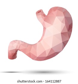 geometrical stylized stomach